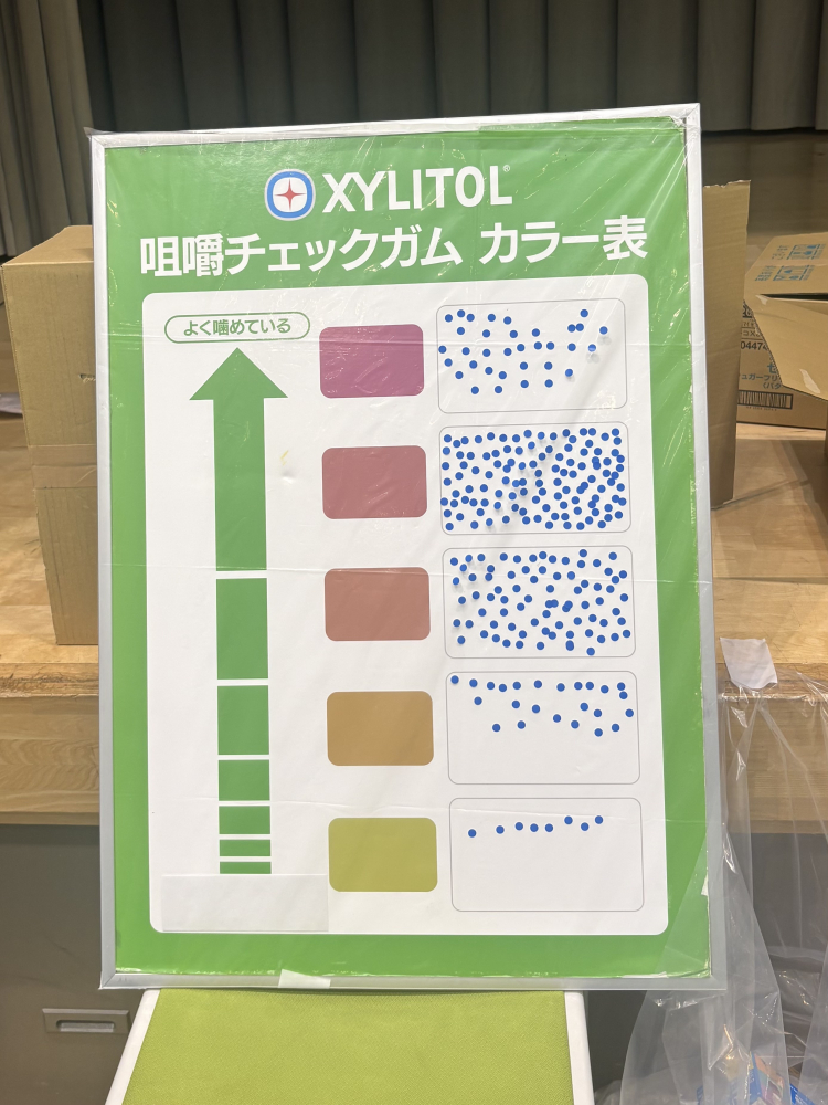 画像1-D
